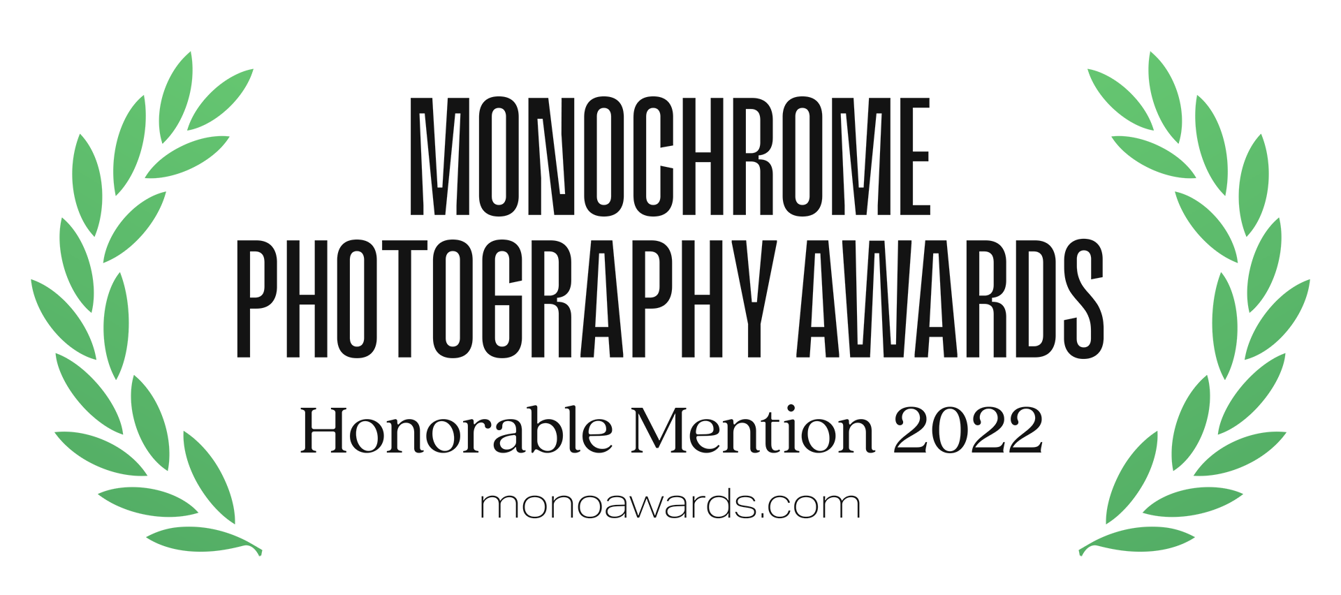 Vier eervolle vermeldingen in de categorie natuur en landscape - Monochrome Awards 2022
